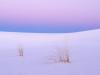 Tranquility, White Sands, New Mexico